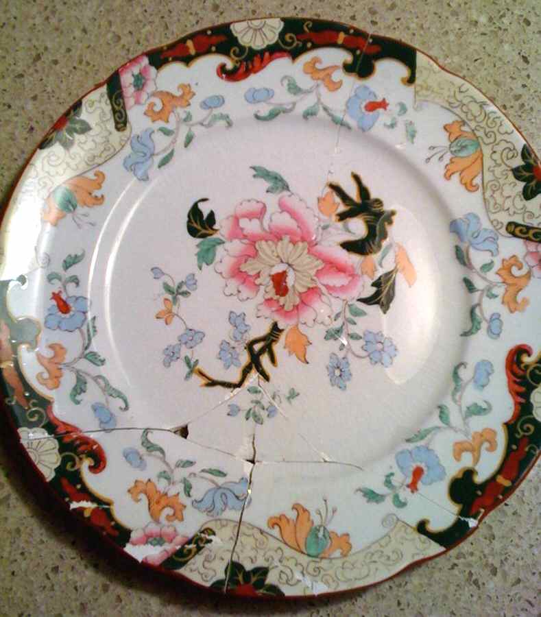 B9288 Dinner Plate by Ashworth Bros-1