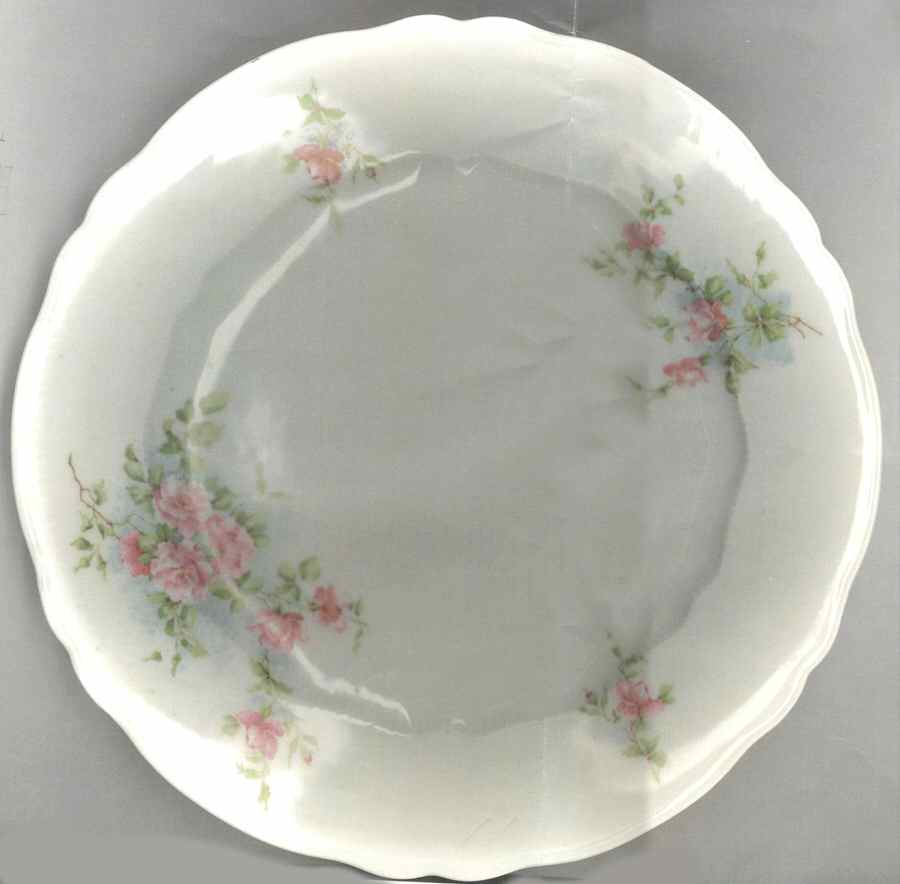 1579 Dinner Plate by Austria-1
