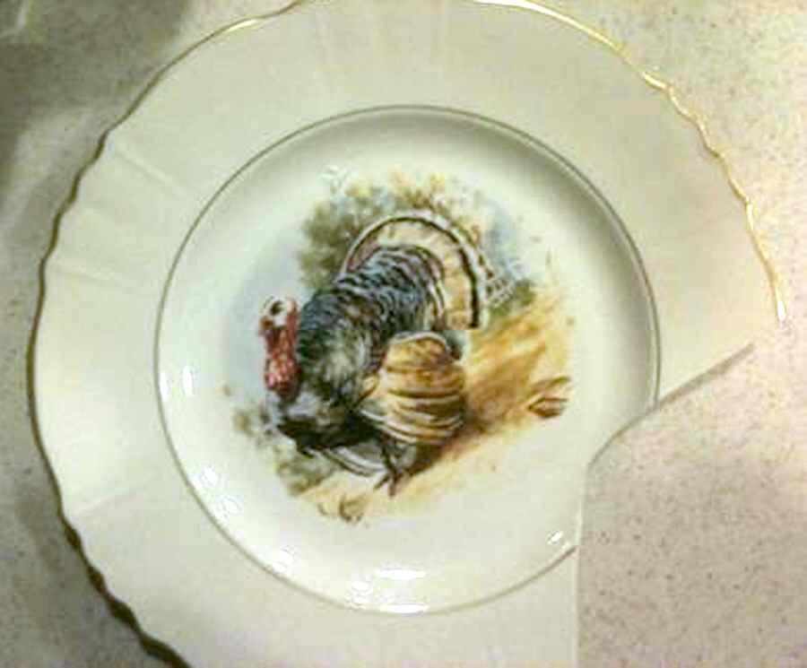 ATS80 Dinner Plate by Atlas China (NY)-1