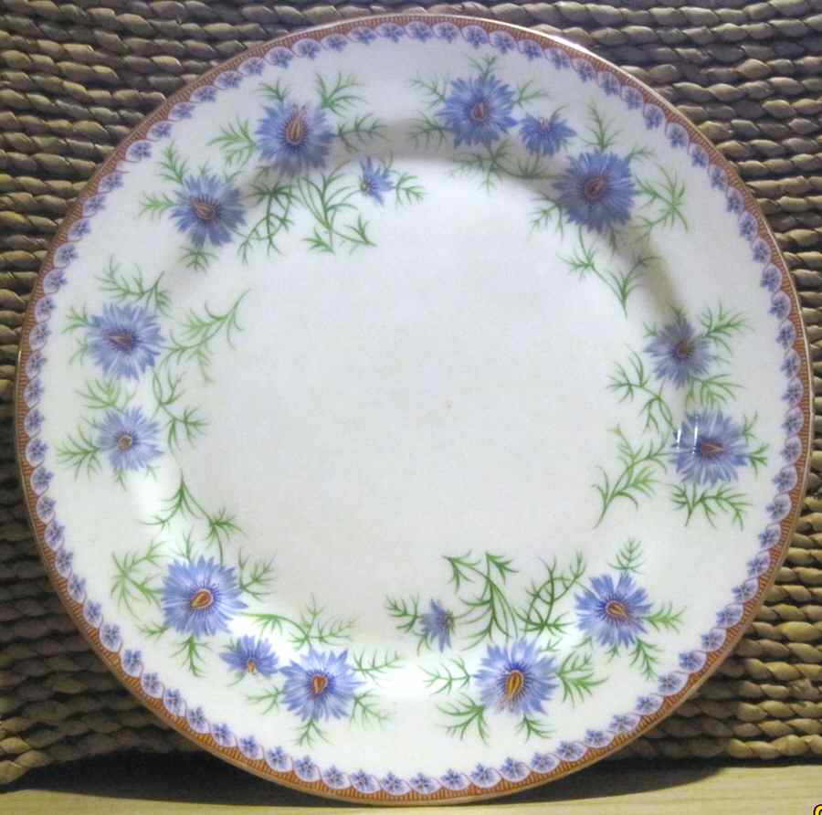 AYN251 Dinner Plate by John  Aynsley & Sons-1