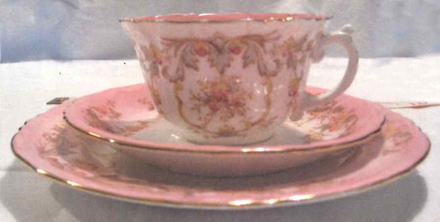 Spray No. 32 Flat Cup & Saucer Set by Adderley-1