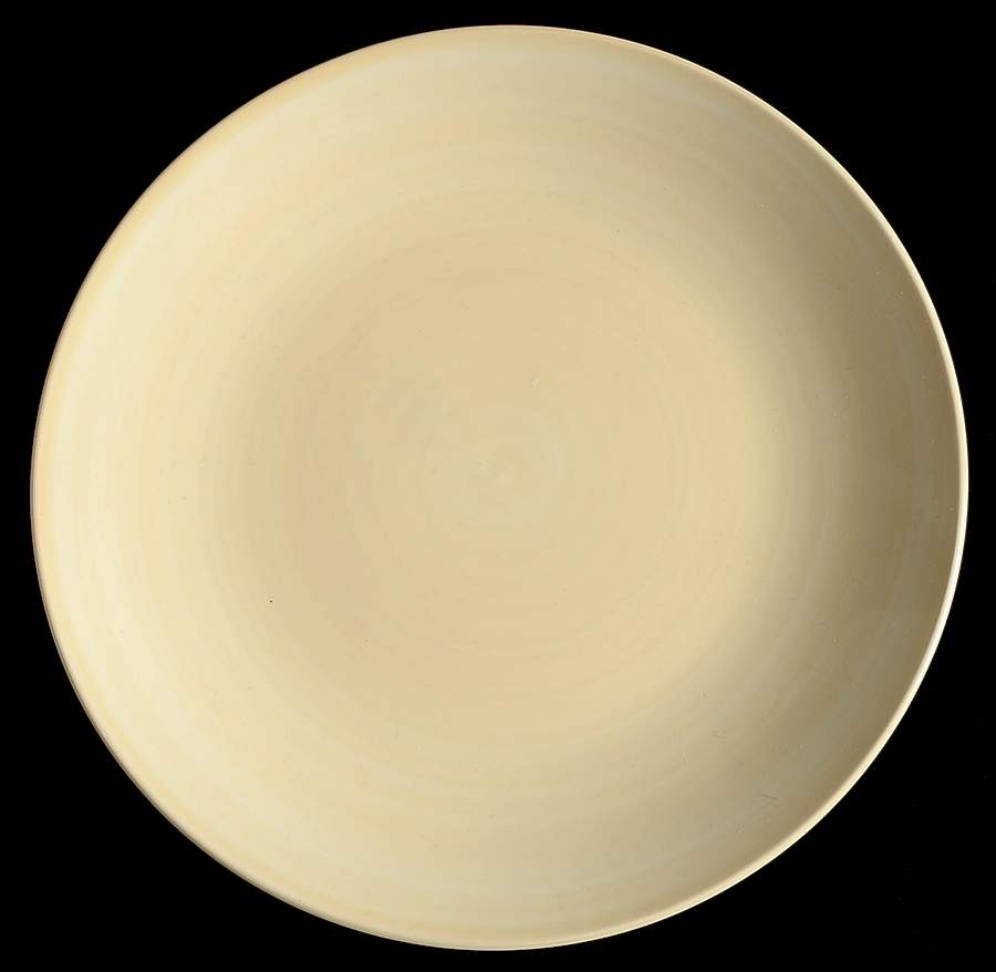 Color Wheel Dinner Plate by 222 Fifth (PTS)-1
