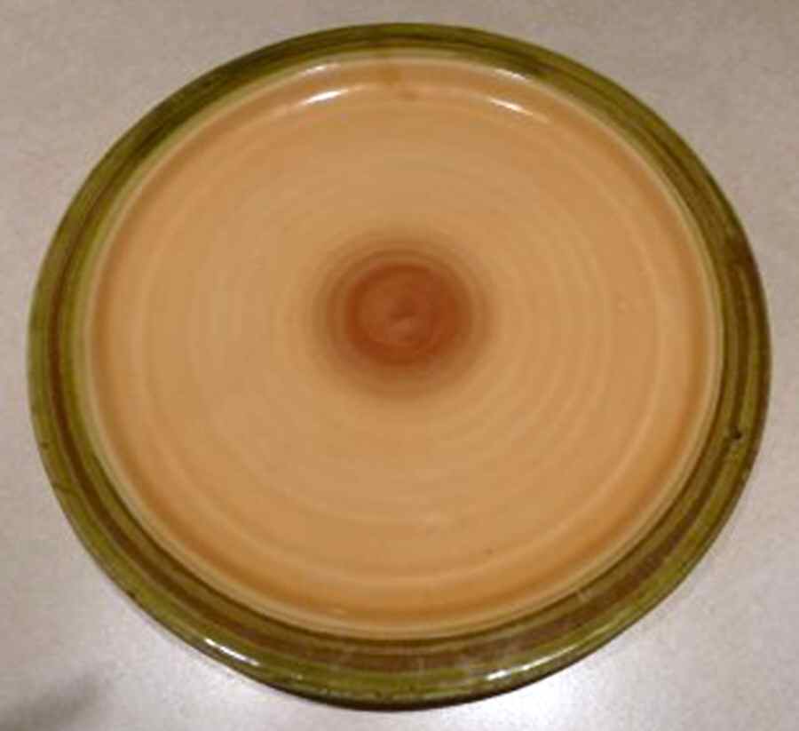 AFX4 Dinner Plate by Amalfi Collection-1