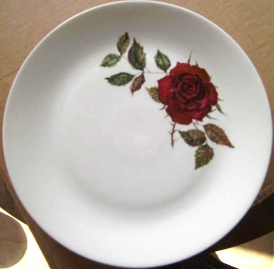 ARA160 Dinner Plate by Arabia of Finland-1