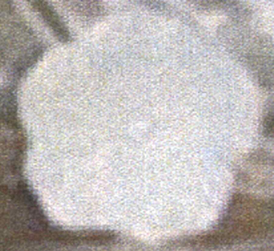 Petals White Bread & Butter Plate by American Atelier-1