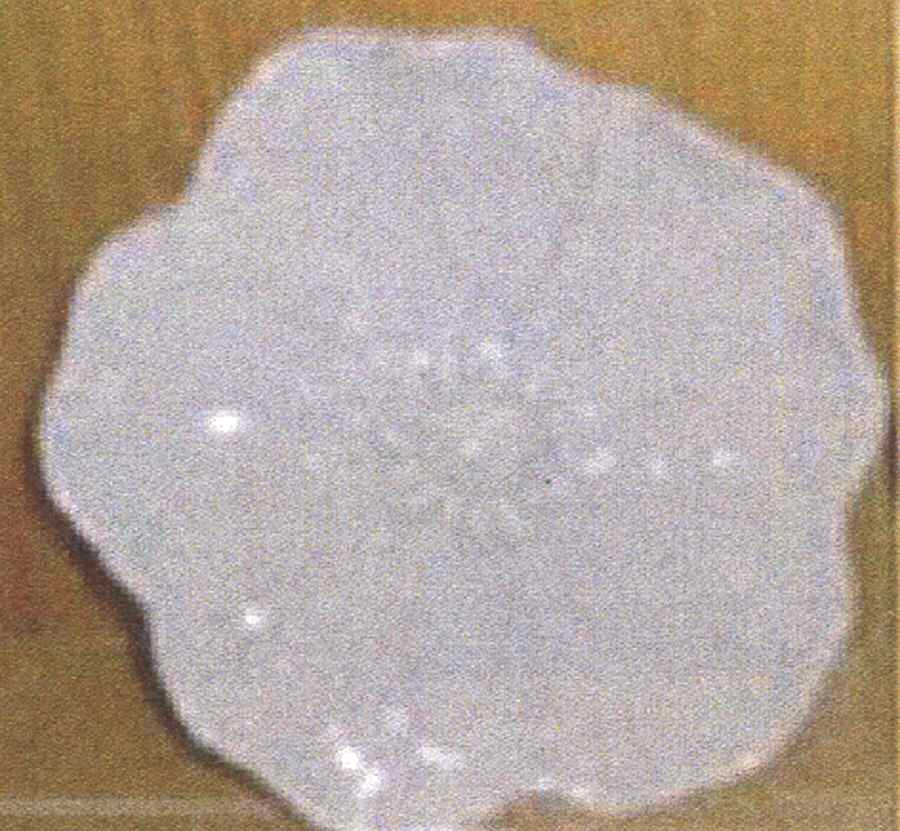 Petals Gray Salad Plate by American Atelier-1