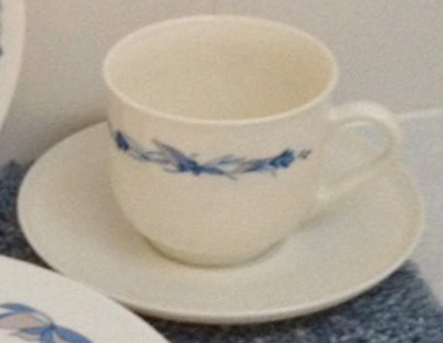 Janine Footed Cup & Saucer Set by Arcopal-1