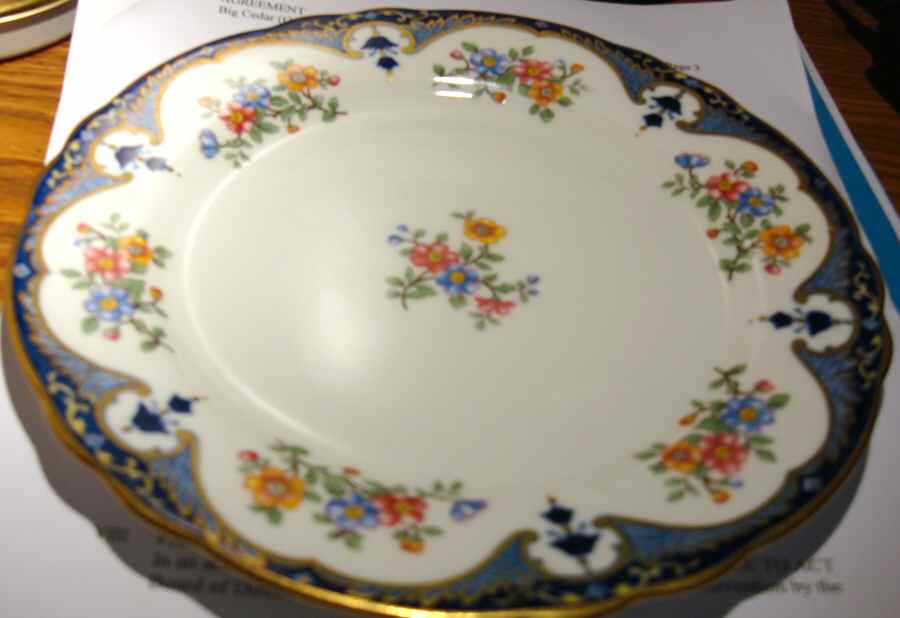 AYN254 Dinner Plate by John  Aynsley & Sons-1
