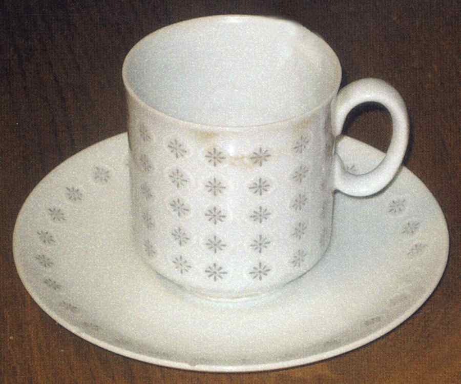 Daystar Flat Cup & Saucer Set by Amcrest-1