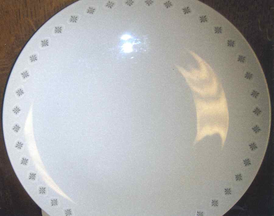 Daystar Dinner Plate by Amcrest-1