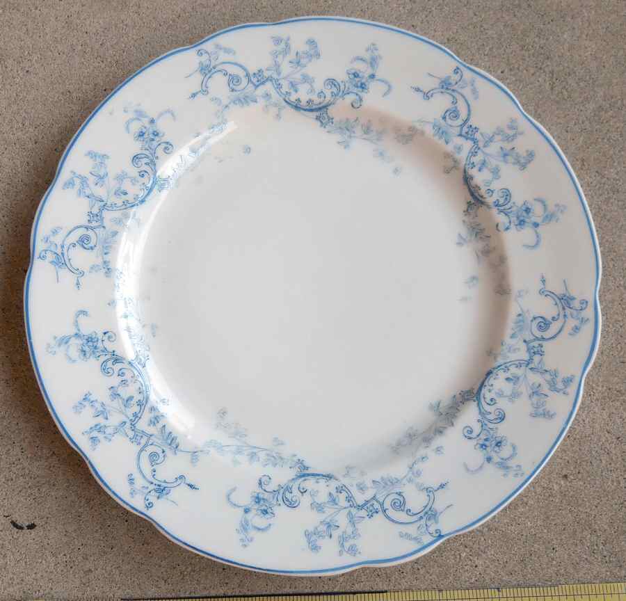 3553 Dinner Plate by Austria-1