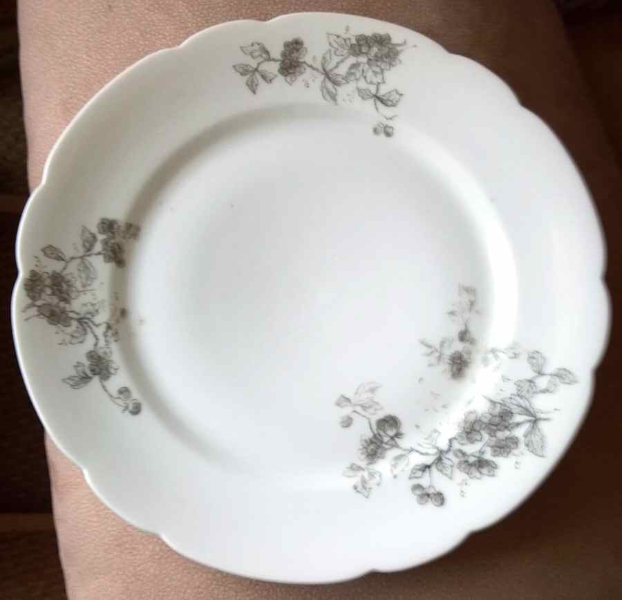 1376 Dinner Plate by Austria-1