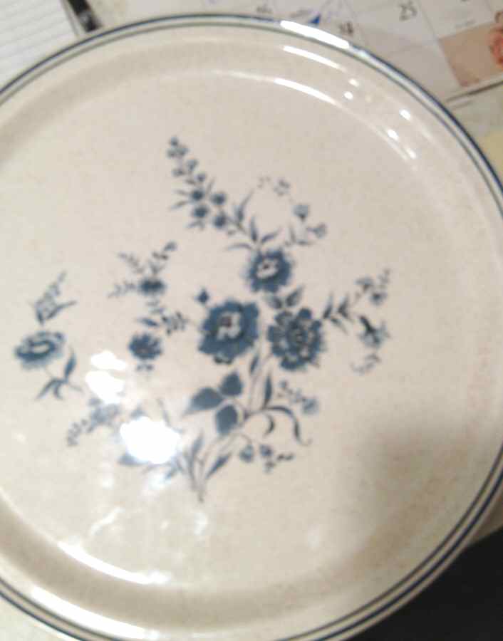 Summer Mood Dinner Plate by Arklow-1