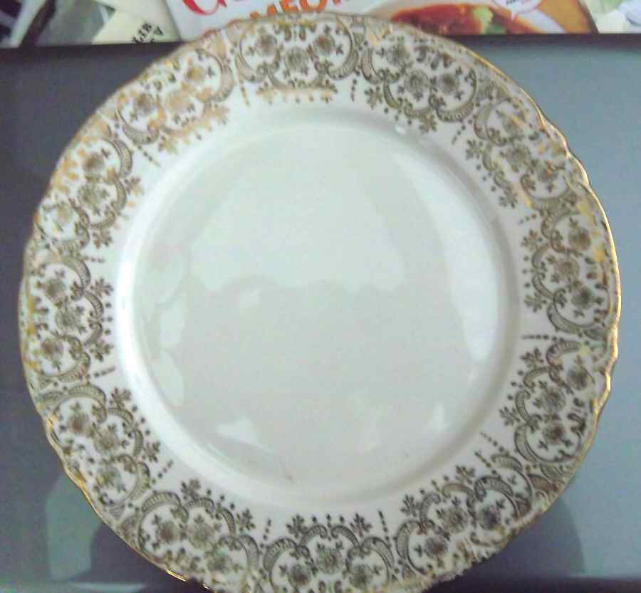 AU10 Dinner Plate by American China Co-1