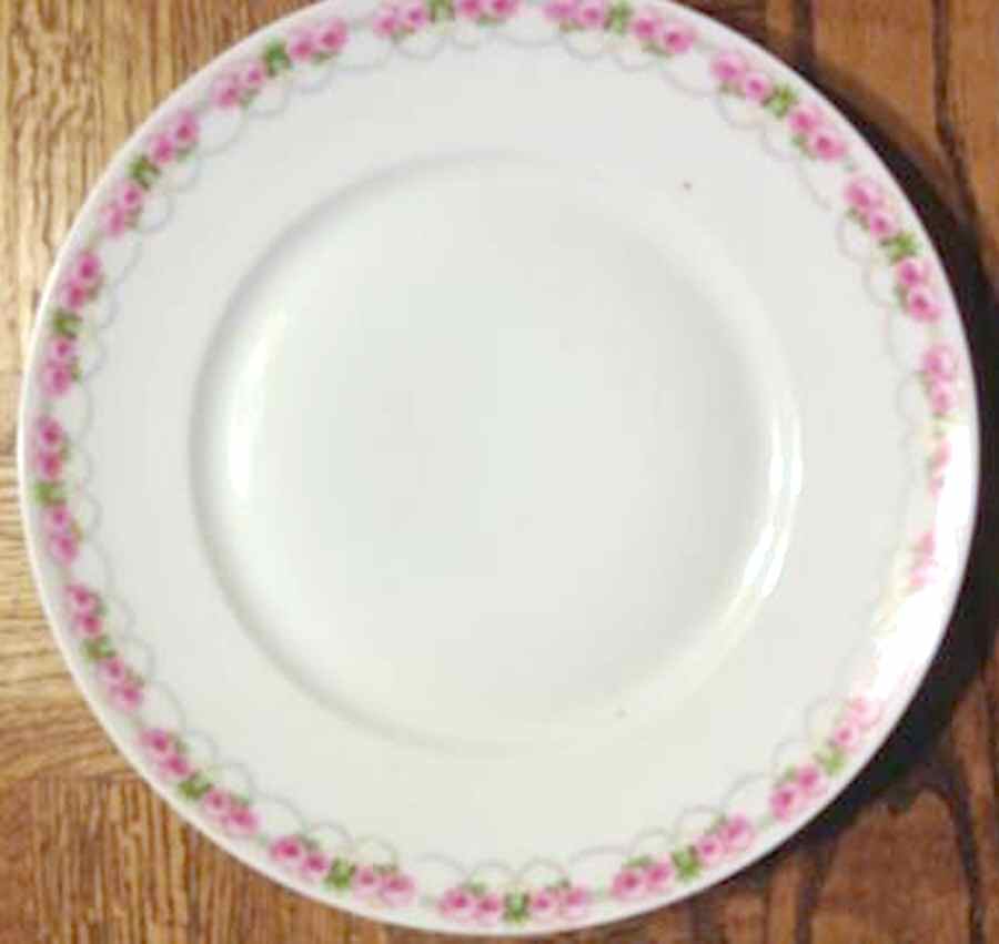 AUS550 Dinner Plate by Austria-1