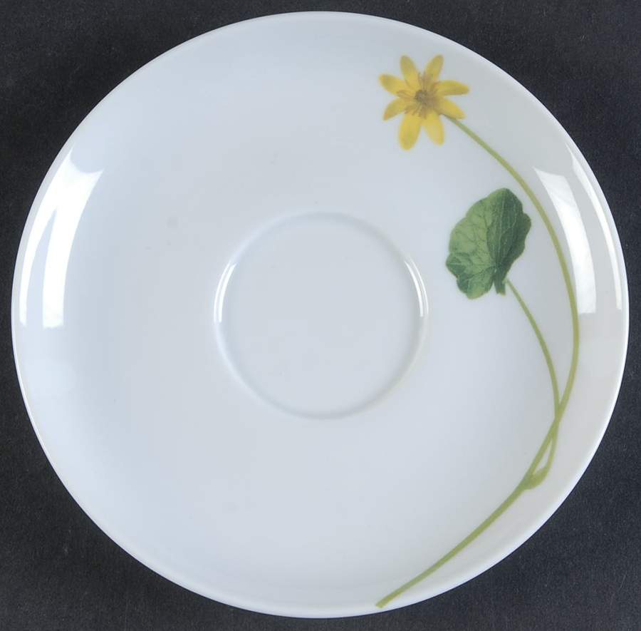 Summer Meadow Saucer for Cafe Au Lait by Arzberg-1