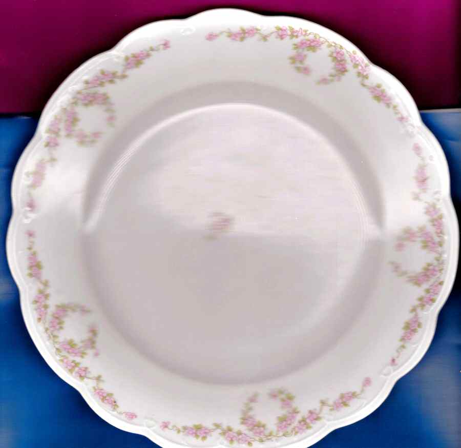 ALT691 Dinner Plate by Altrohlau-1