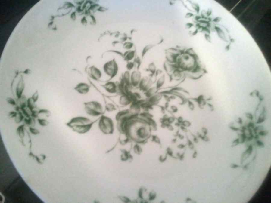 ARZ257 Dinner Plate by Arzberg-1