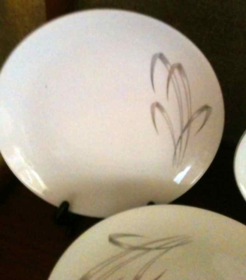 ARZ258 Dinner Plate by Arzberg-1