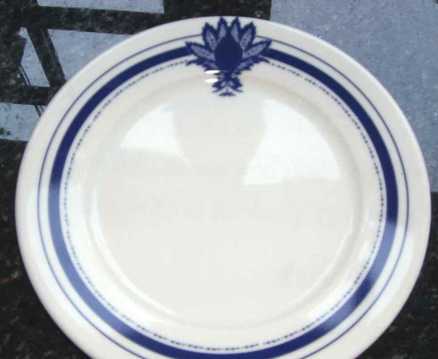 API18 Salad Plate by Apilco-1