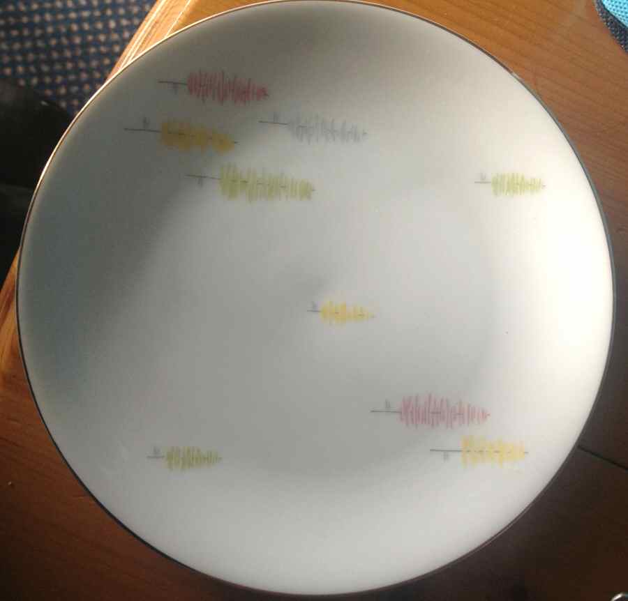 ARZ259 Dinner Plate by Arzberg-1