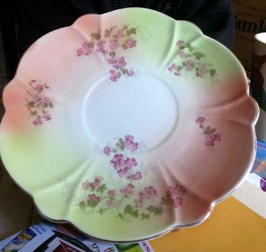 Florida Saucer by Allerton's-1