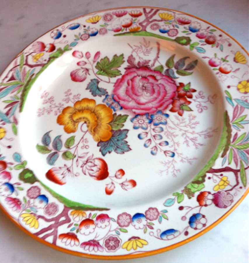 C991 Dinner Plate by Ashworth Bros-1