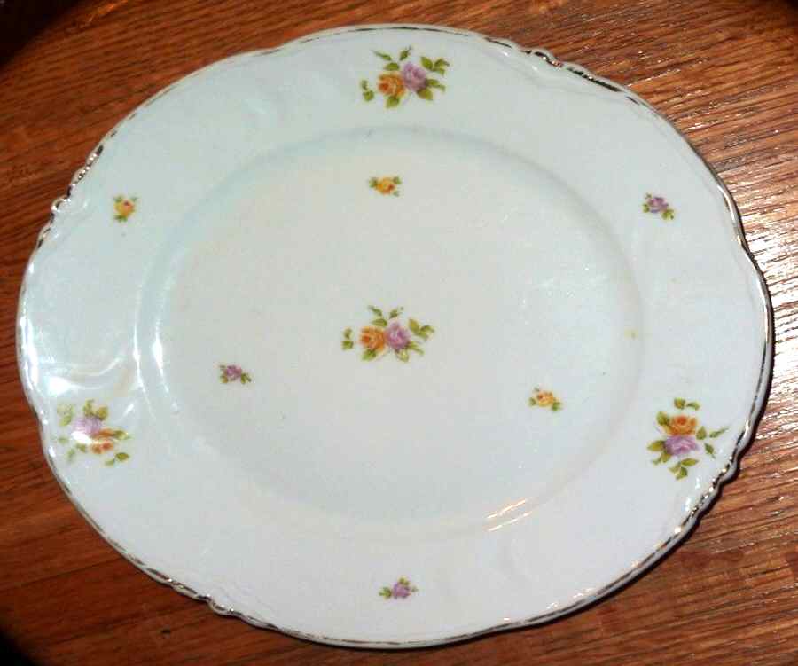 ALT698 Dinner Plate by Altrohlau-1