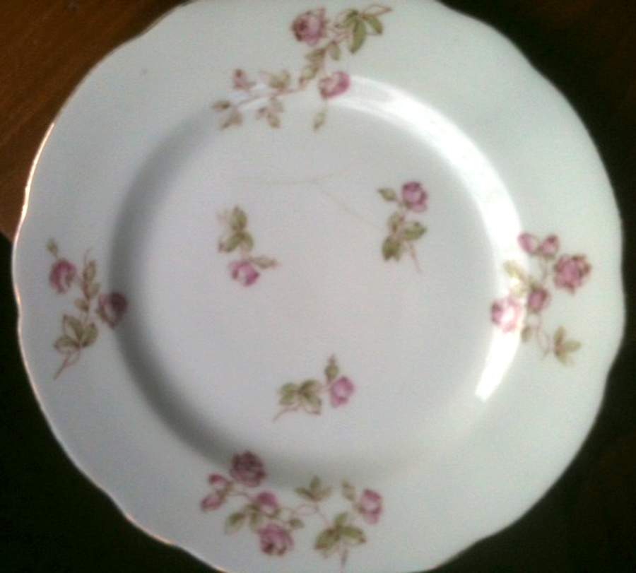 AKF67 Dinner Plate by A Klingenberg France-Austria-1