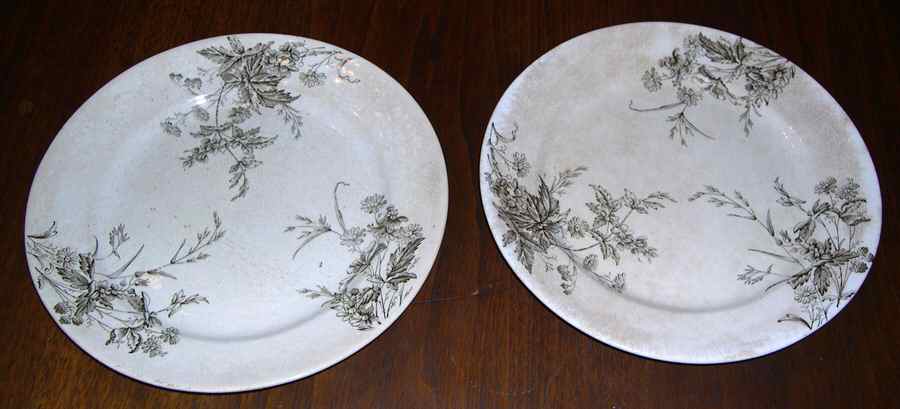 Mayfield Dinner Plate by Ashworth Bros-1