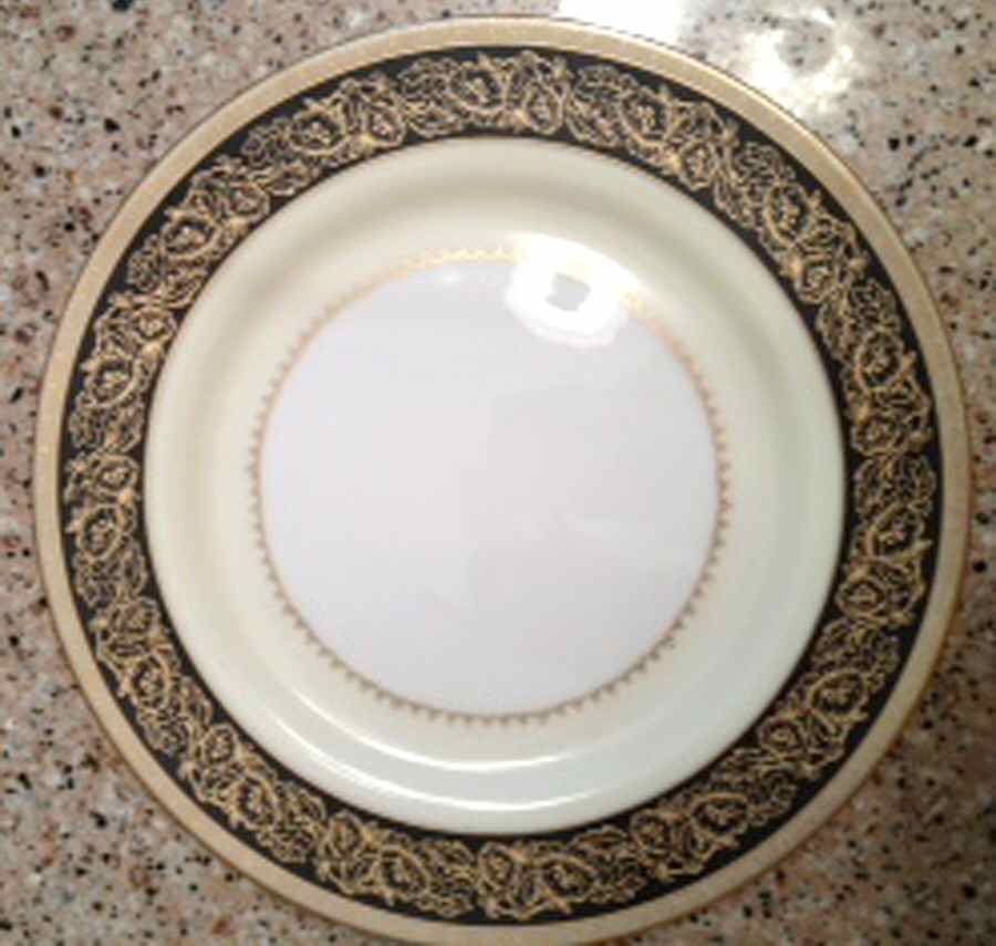 ALB25 Dinner Plate by Albion-Japan-1
