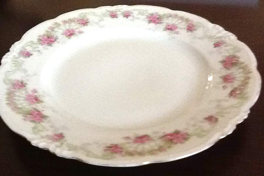 AUS457 Dinner Plate by Austria-1
