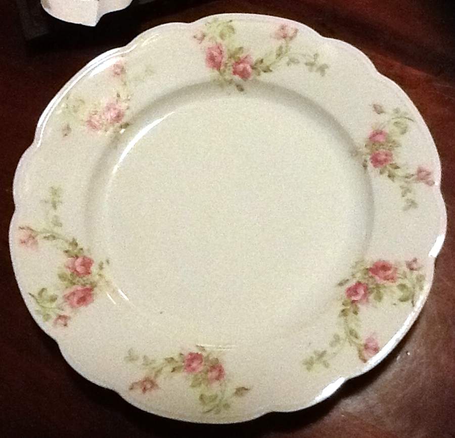 ALT710 Dinner Plate by Altrohlau-1