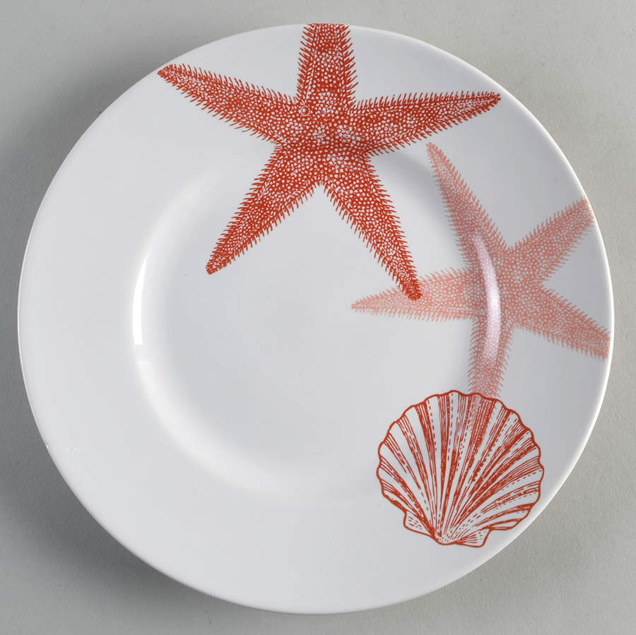 Coastal Life Coral Salad Plate by 222 Fifth (PTS)-1