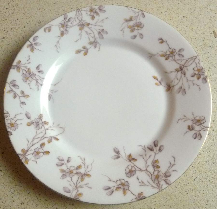 AUS102 Dinner Plate by Austria-1