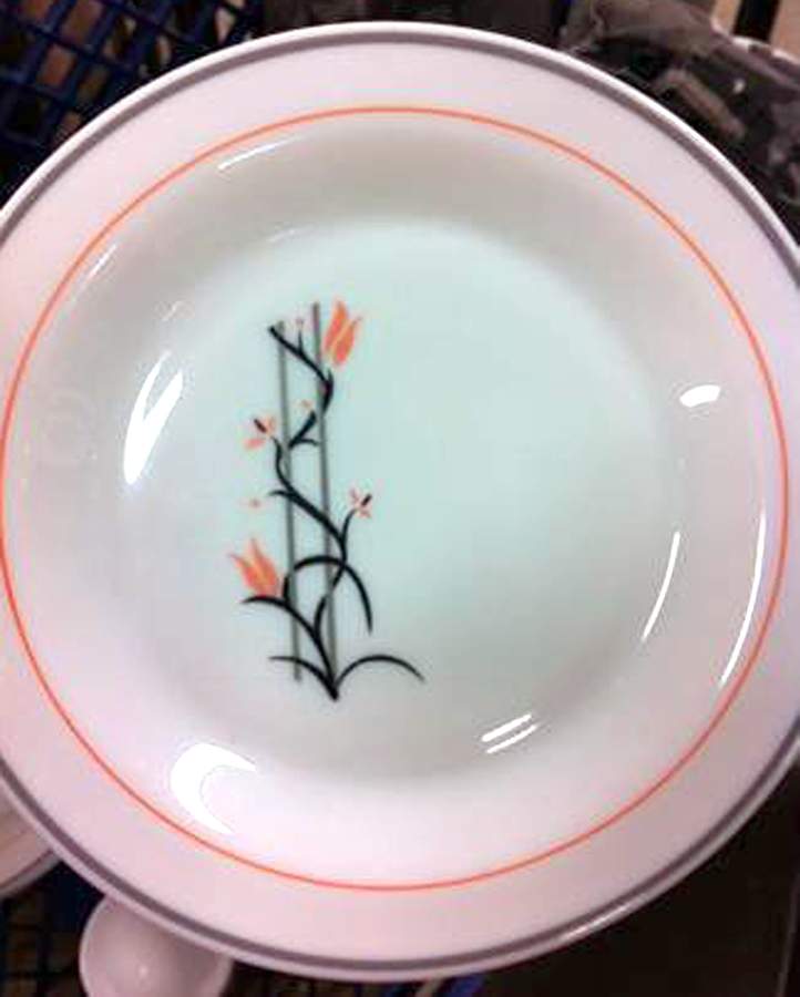 ARP57 Dinner Plate by Arcopal-1