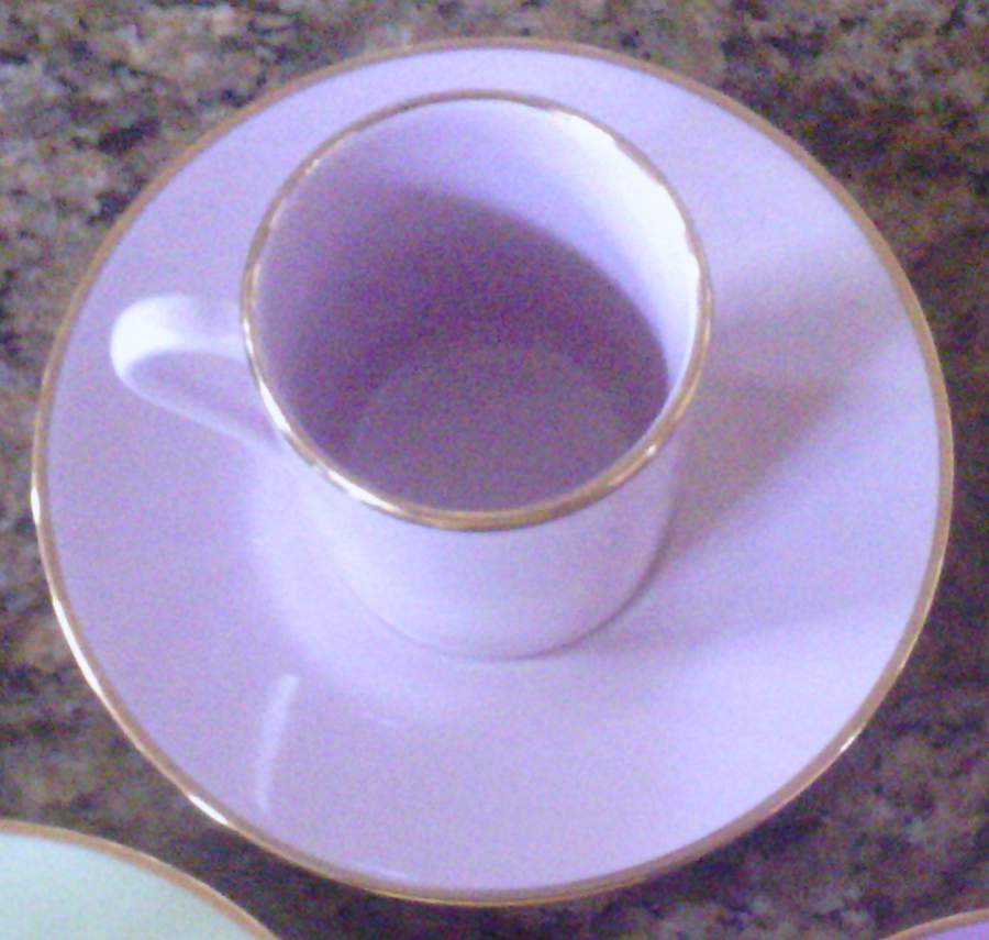 API19 Flat Demitasse Cup & Saucer Set by Apilco-1