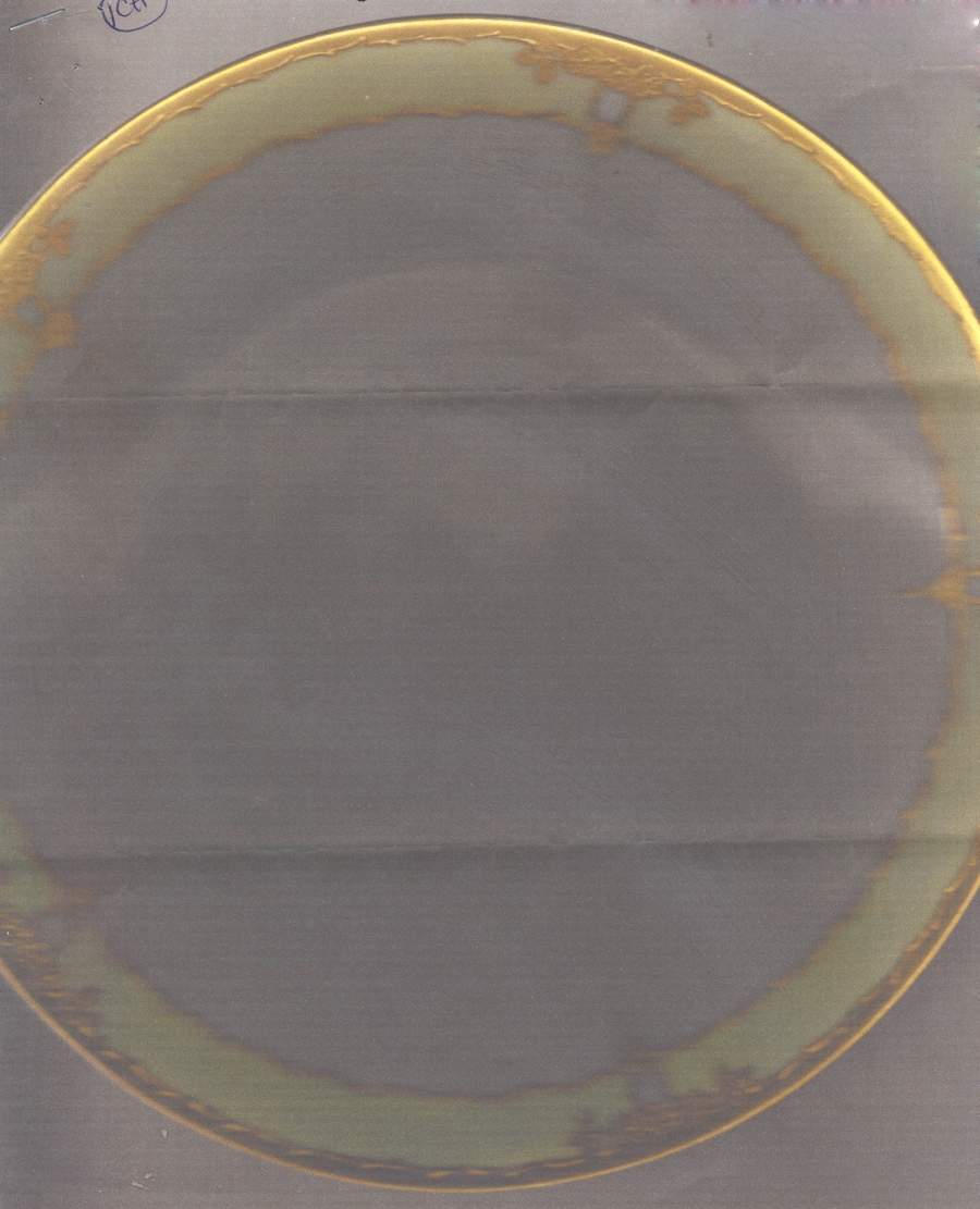 ALT713 Dinner Plate by Altrohlau-1