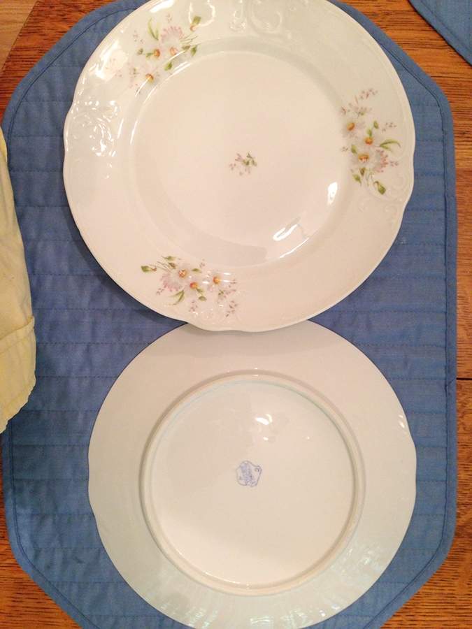 ALT717 Dinner Plate by Altrohlau-1