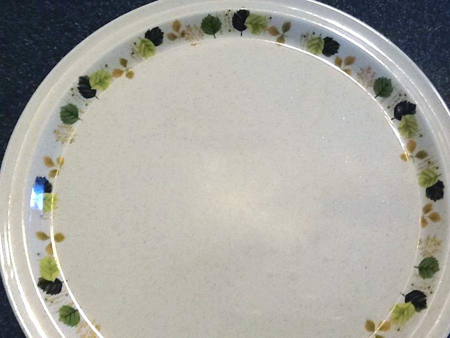 ARK56 Dinner Plate by Arklow-1