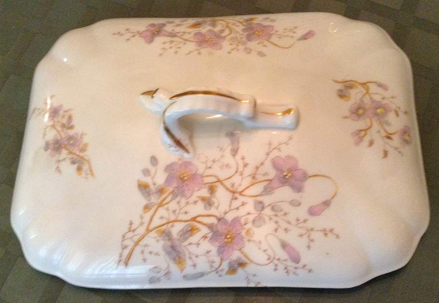 AUS464 Lid for Rectangular Vegetable by Austria-1