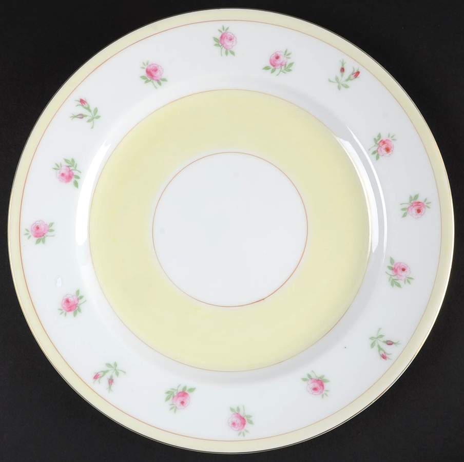 AIC42 Salad Plate by Aichi-1