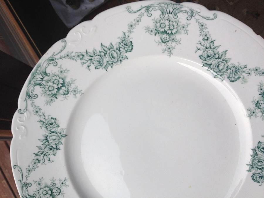 Charm Green Dinner Plate by Allerton's-1
