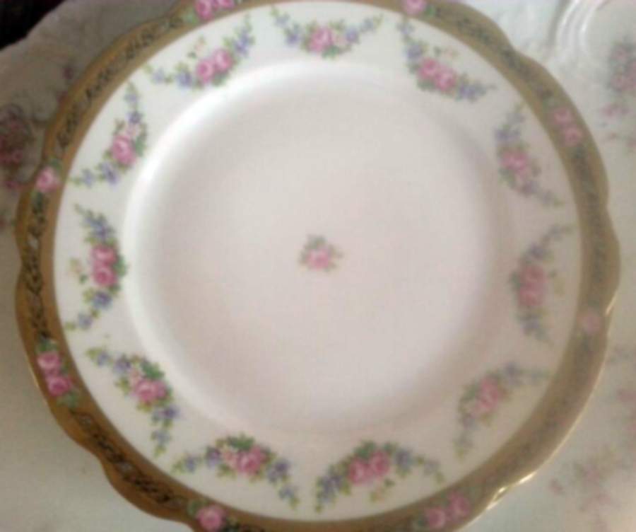 ALT732 Dinner Plate by Altrohlau-1