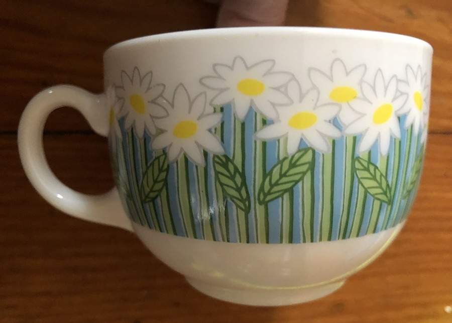 Florane Flat Cup by Arcopal-1