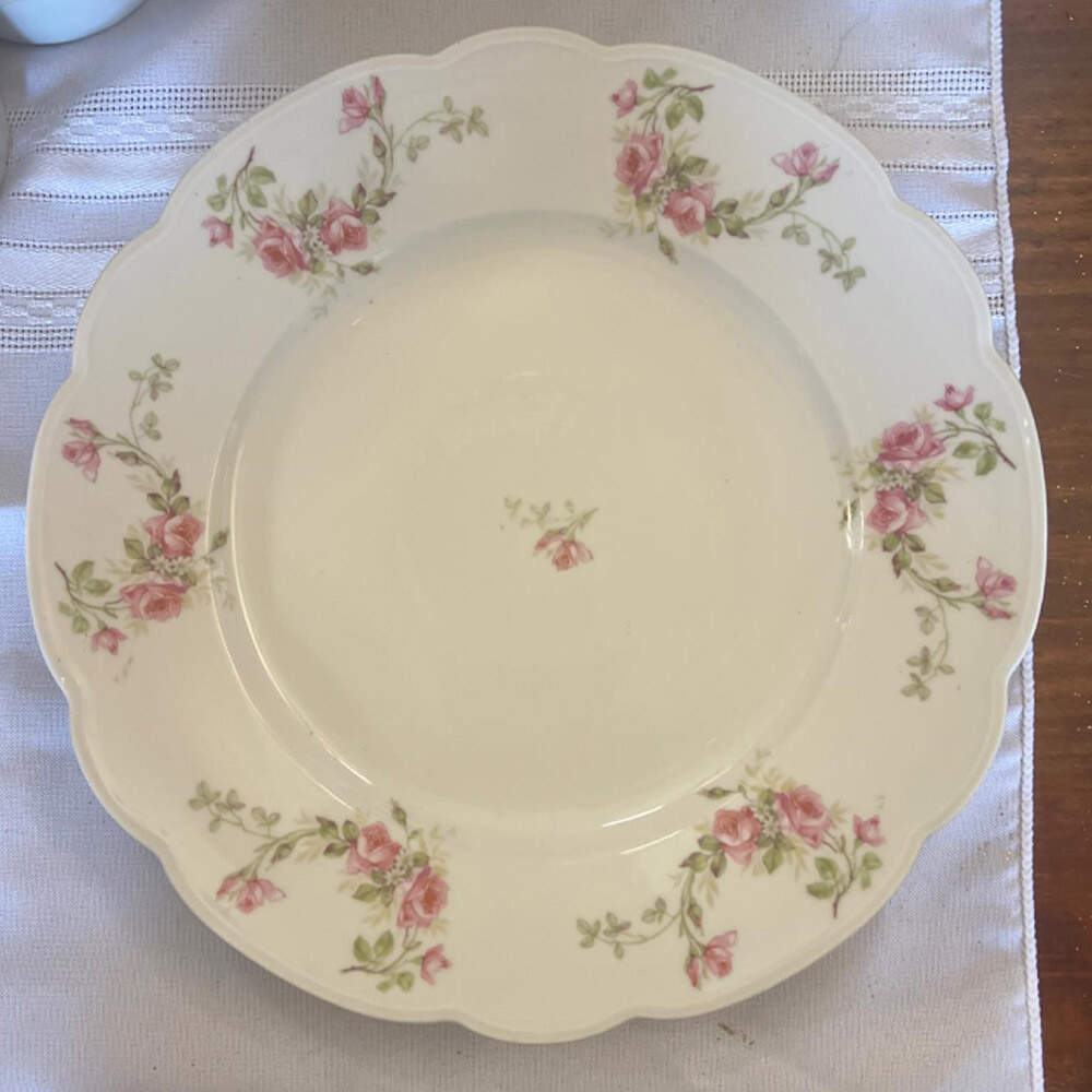 ALT738 Dinner Plate by Altrohlau-1