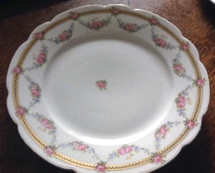 ALT854 Dinner Plate by Altrohlau-1