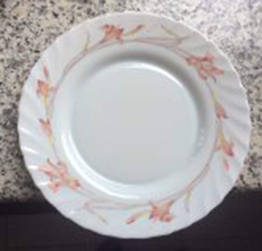 ARP62 Dinner Plate by Arcopal-1