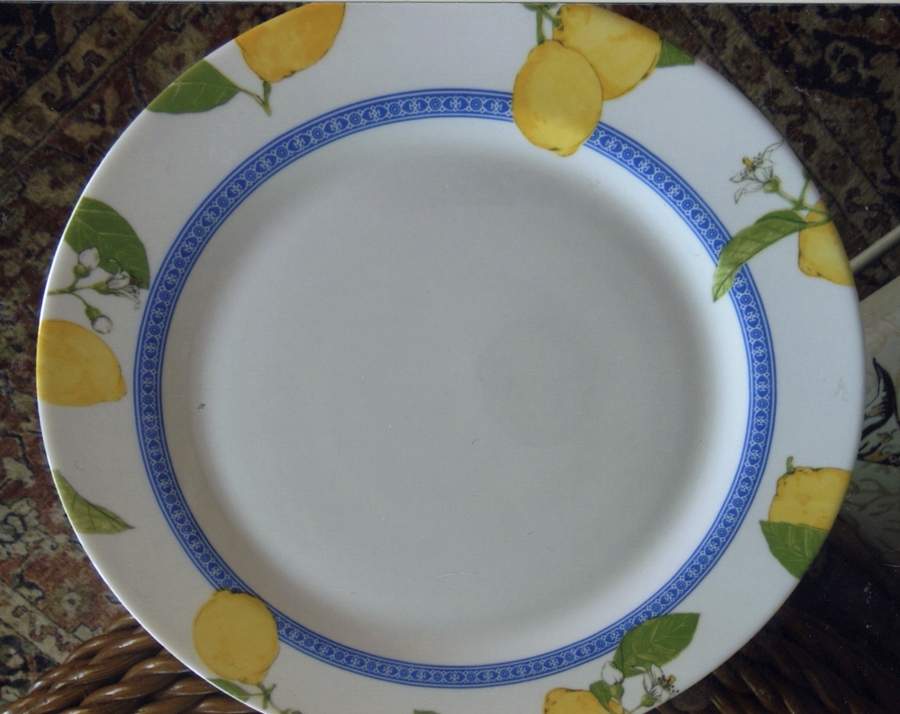 ARP63 Dinner Plate by Arcopal-1