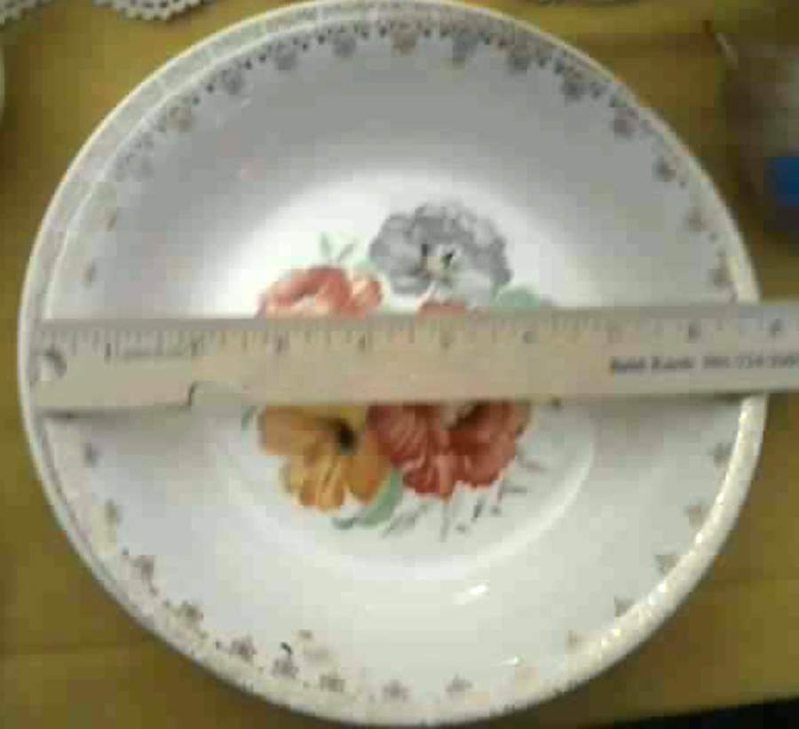 Florine Coupe Soup Bowl by American Homes-1